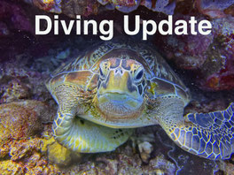 tauchen - buceo - plongée récréative
