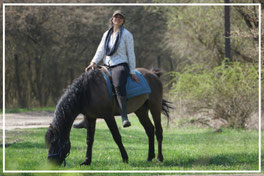 Entspannung auf einem Huzulenhengst