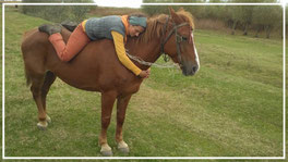 Hier übe ich mich in der Tiefenentspannung mit Pferd- eine Stute aus der Ukraine die ich erst zwei Stunden kannte