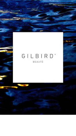 GILBIRD Beratungen