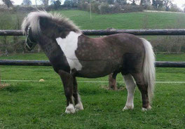 V: Silbersee´s Luis