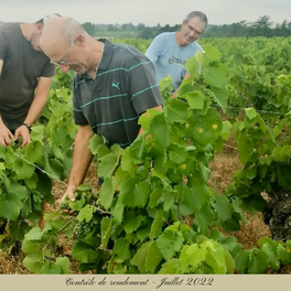 Les vignerons de la Vallée de Clisson à Gorges en Loire Atlantique produisent le Cru Gorges, un grand vin blanc d'exception. Vin de garde de grande qualité, il protègent la vigne et font un élevage sur lie en Sèvre et Maine