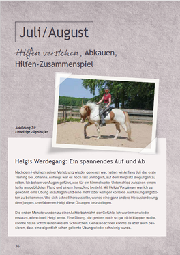 With the help of a professional graphic designer, the interal layout of the horsetraining book ends up looking great!
