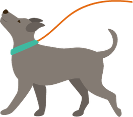 犬　いぬ　散歩　お散歩　ペットシッター