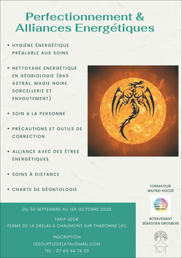 stage avec wilfrid hocde therapies holistiques en touraine - annuaire du bien être via energetica