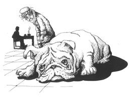 Fred, the bulldog.  Illustrated by Trish Phillips 