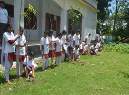They plant seedlings as tall as possible so as not to be drained by the flood.