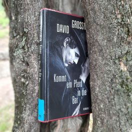 David Grossman "Kommt ein Pferd in die Bar"