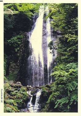 回顧の滝