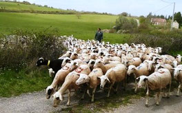 Entre Rocamadour et Carlucet : les granges de Bonnecoste.