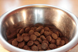 Une gamelle de croquettes pour chien, alimentation industrielle par coach canin 16 éducateur canin à angoulême
