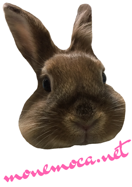 うさぎの写真にエフェクトかけてます