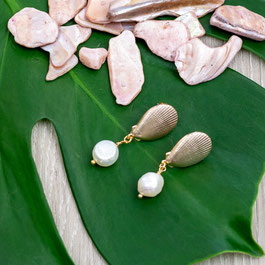 Ohrringe Seashell Pearl Earring