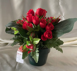 Rosettes 1 - 42 €