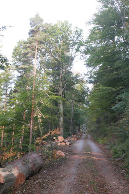 Aufstieg am Heukopf