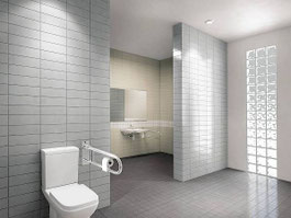 ceramic wall tile - Ral-Vision