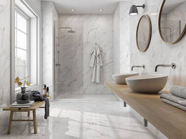 porcelain tile - Statuary