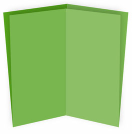 Schematische Darstellung 2-Bruch Kreuzbruchfalz Flyer