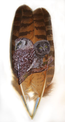 Featherpainting, Boreal Owl on Eagle Owl feathers with acrylics (with CITES) (sold)