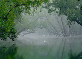 Rundreise Sundarban Nationalpark 3 Tage