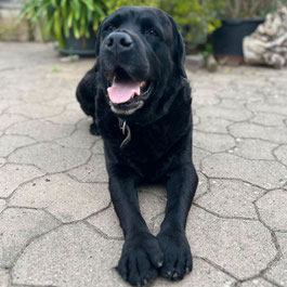 Rufus