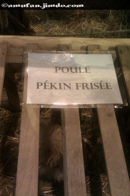 La preuve !
