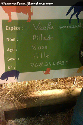 Carte d'identité de la vache !