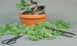 ghibli bonsai fountains My Neighbor Totoro Statue Magnet Water Garden Kasajuku 24cm – Hobby Figures main image 1