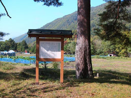 中原兼遠館跡(長野県木曽町日義)　義仲元服の松もある。