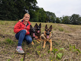 Deutscher Schäferhund, Lennox von Haus Anja, Hundesport, Leistungslinie, IPO, SV
