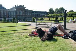Hund und Junge liegen vor dem Kensington Palace, London