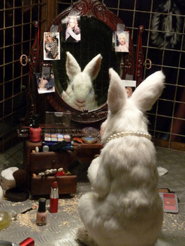 ロンドンを中心に活動する覆面芸術家・バンクシーの作品「化粧をするウサギ」　　Photo by Animal testing / johnmcga