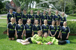2013 gewannen wir dann den Tag der Handballjugend als D-Jugend