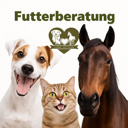Reico Futterberatung Vital LIEBE FÜTTERN individuelle Futterberatung für Hund, Katze und Pferd