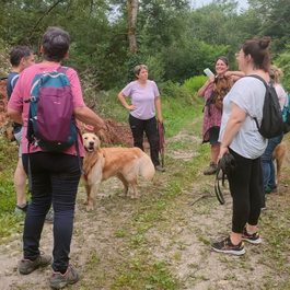 Formation éducateur canin - 2 formats possible 100 % distanciel ou en centre 