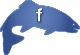 Bezoek ons op FaceBook