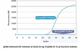 contamination with genomic DNA, gDNA removal from 