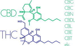 cannabinoides cbd et thc