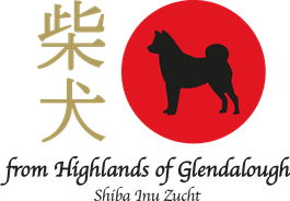 Wie Komme Ich Zu Einem Shiba Welpen Fromhogs Webseite