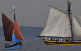 le grand bleu et le renard en baie de Douarnenez