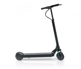 Egret one Elektroscooter