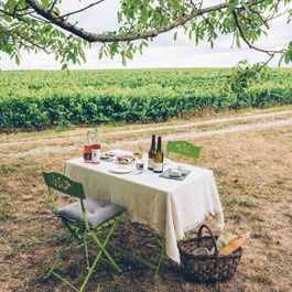 pique-nique-dans-levignoble-Vouvray-Vallee-Loire-Rendez-Vous-dans-les-Vignes