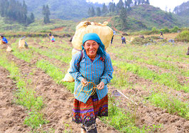 The SWITCH-Asia project BIOTRADE scales up ethical biotrade initiatives in Viet Nam´s phyto-pharmaceutical industry