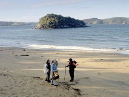 Ulva's Guided Walks - Private Tours