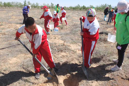 Digging holes altogether