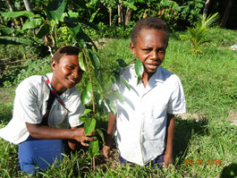 Planted different species and learnt their use