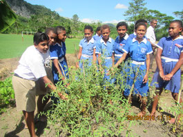 Children enjoying organic agriculture practice