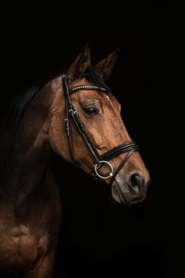 ©JuliaSchwartzPhotography