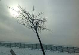 Photo: Gee Vero