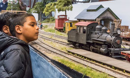 Ook dit jaar zijn de mooiste modelspoorbanen te zien in het Spoorwegmuseum